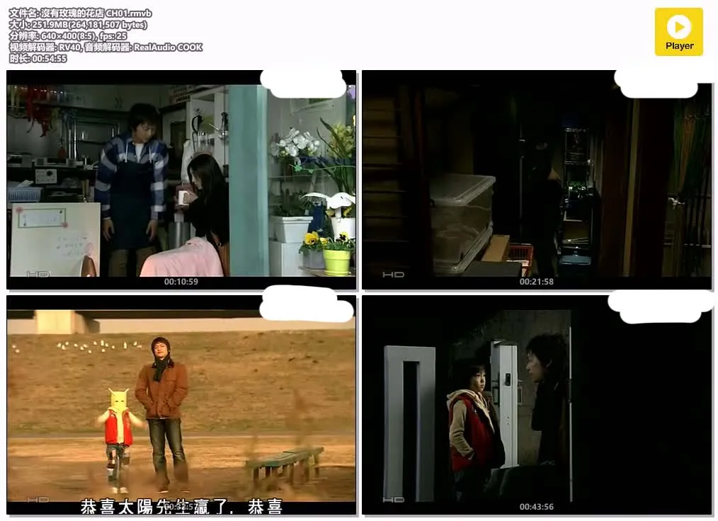 10095254248.webp