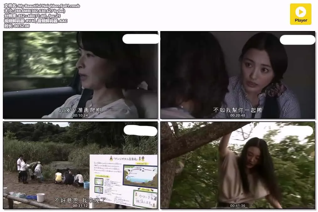 10100523978.webp