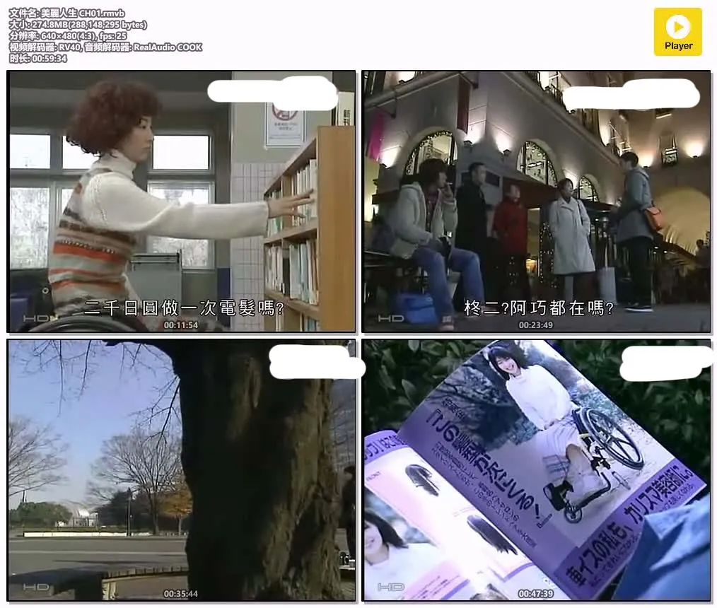 10101230650.webp