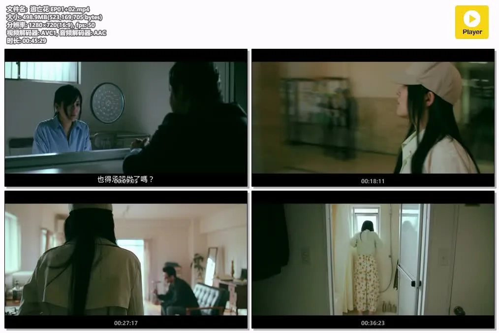 13100434166.webp