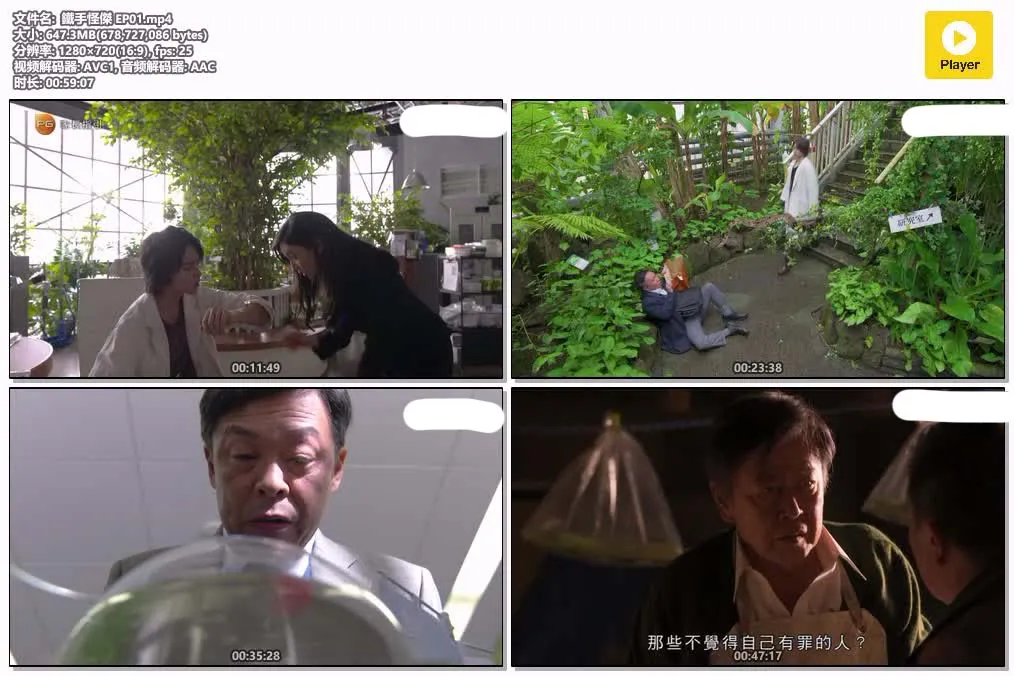 13125235168.webp