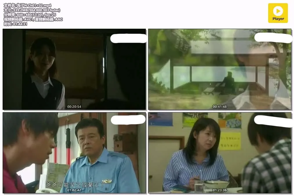 14082953253.webp