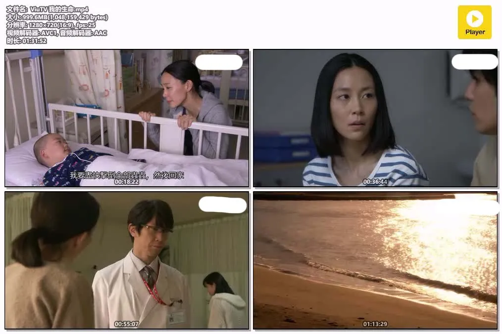 14090455335.webp