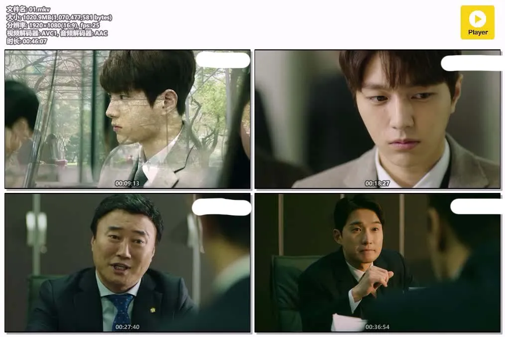 15070244446.webp