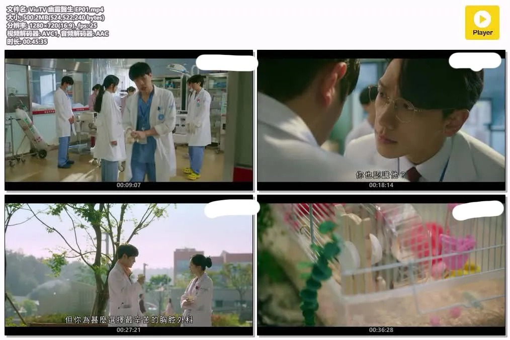 15095612256.webp