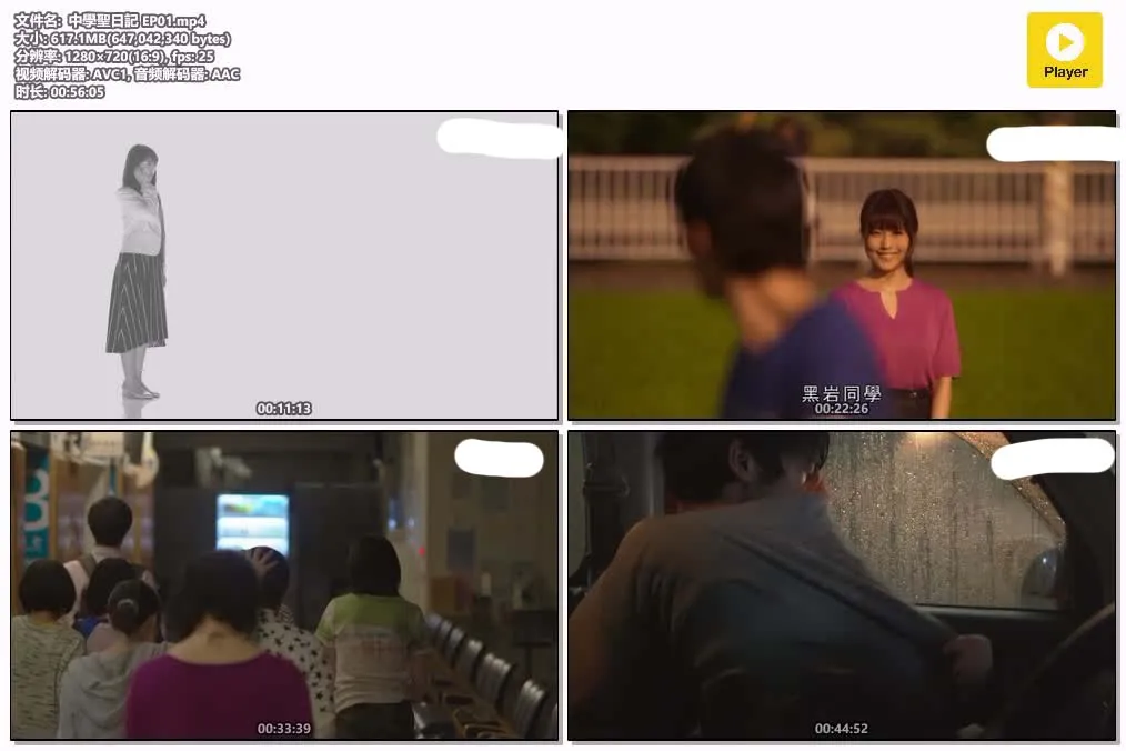 16071322838.webp
