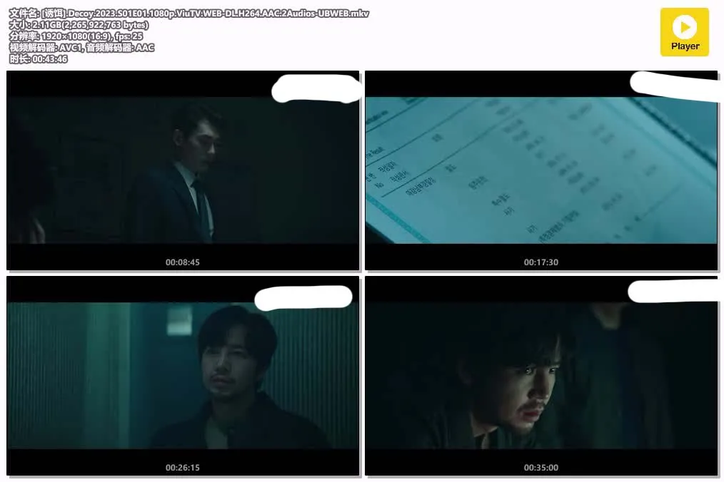 16095702304.webp