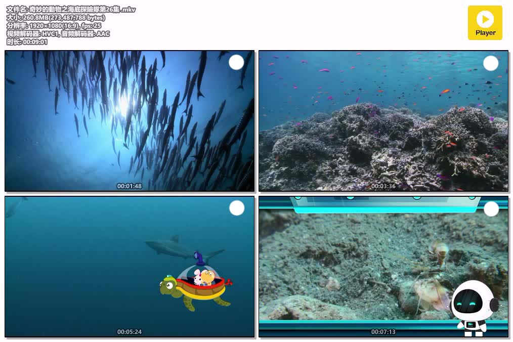 奇妙的動物之海底探險隊第26集 .mkv.jpg