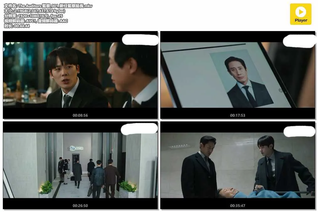 The Auditors 監察_001_新任監察組長.mkv.webp