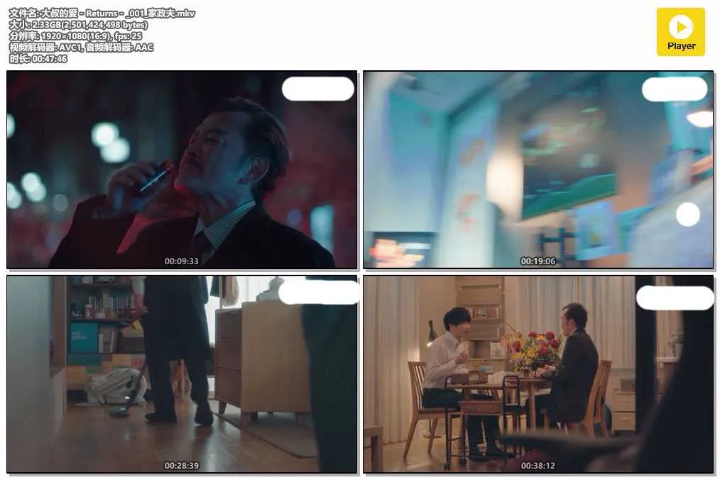 大叔的愛－Returns－_001_家政夫.mkv.webp