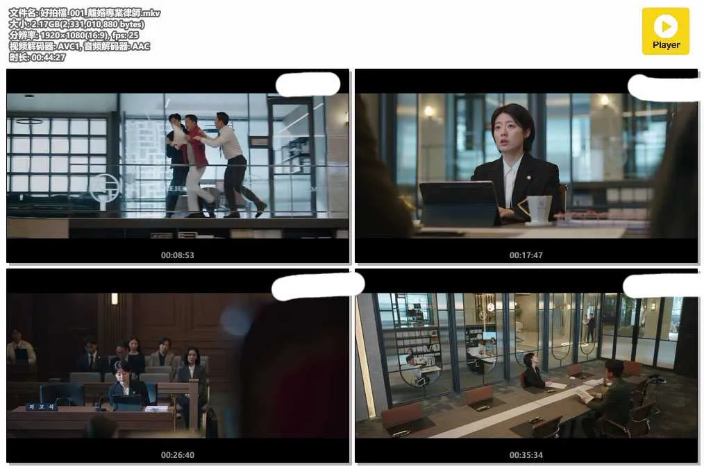 好拍檔_001_離婚專業律師.mkv.webp