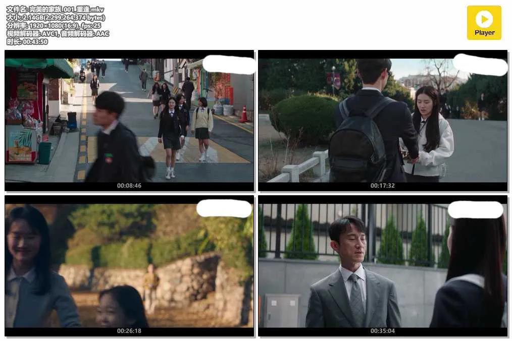 完美的家族_001_重逢.mkv.webp