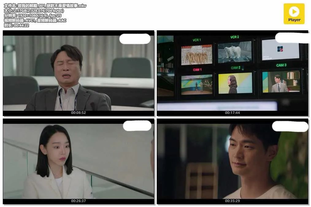 致我的解離_001_絕對不是愛情故事.mkv.webp
