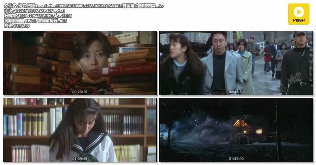 情书.日版.Love.Letter.1995.BD.1080P.x265.10bit.DTS&AC3.日国粤.内封特效简.mkv.webp