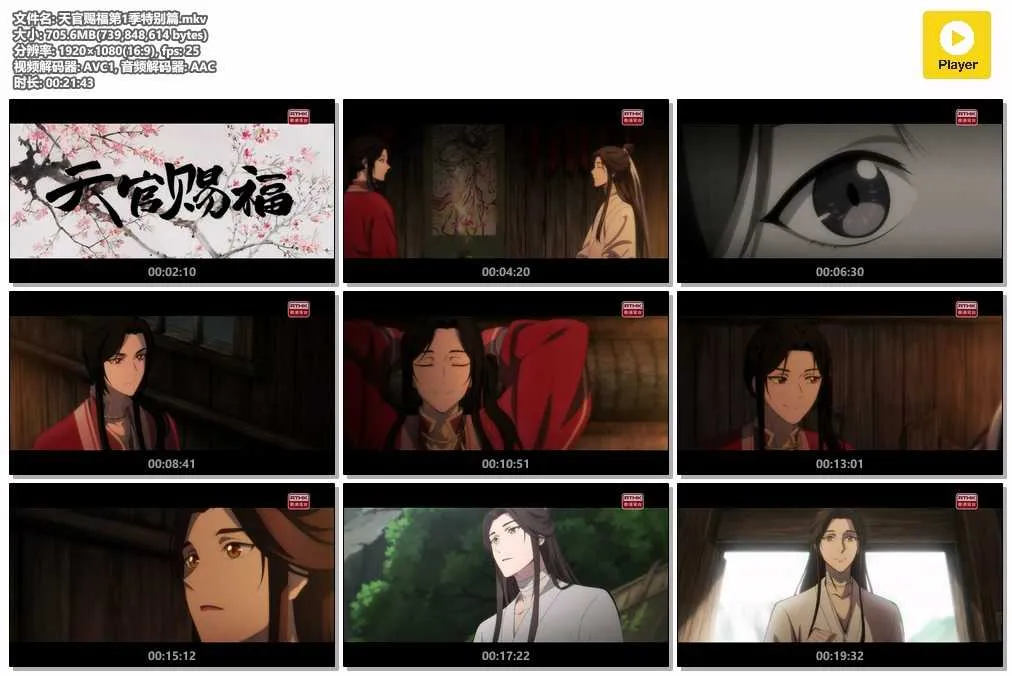 天官赐福第1季特别篇.mkv.webp