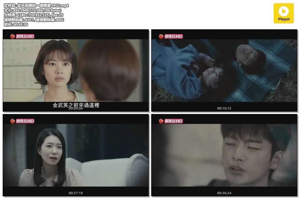 從天而降的一億顆星 EP22.mp4.webp