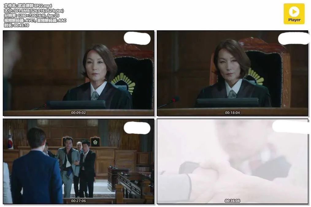 武法律師 EP22.mp4.webp