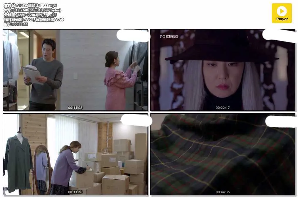 ViuTV 黑騎士 EP22.mp4.webp