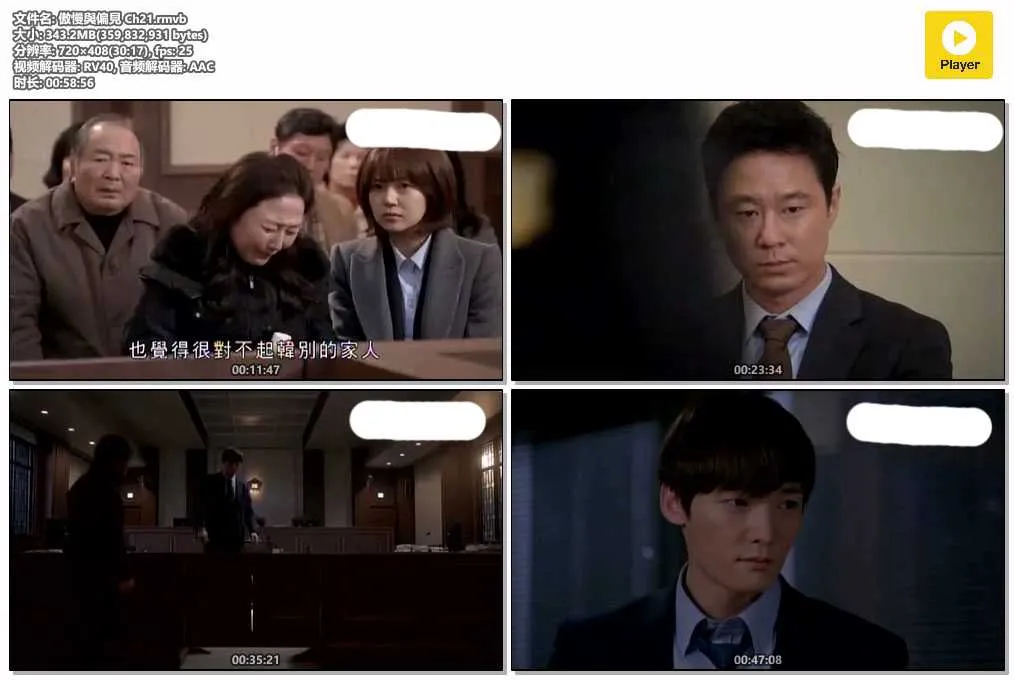 傲慢與偏見 Ch21.rmvb.webp