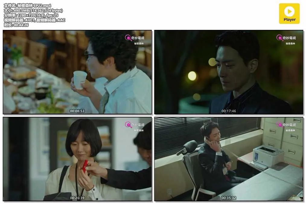 秘密森林 EP22.mp4.webp