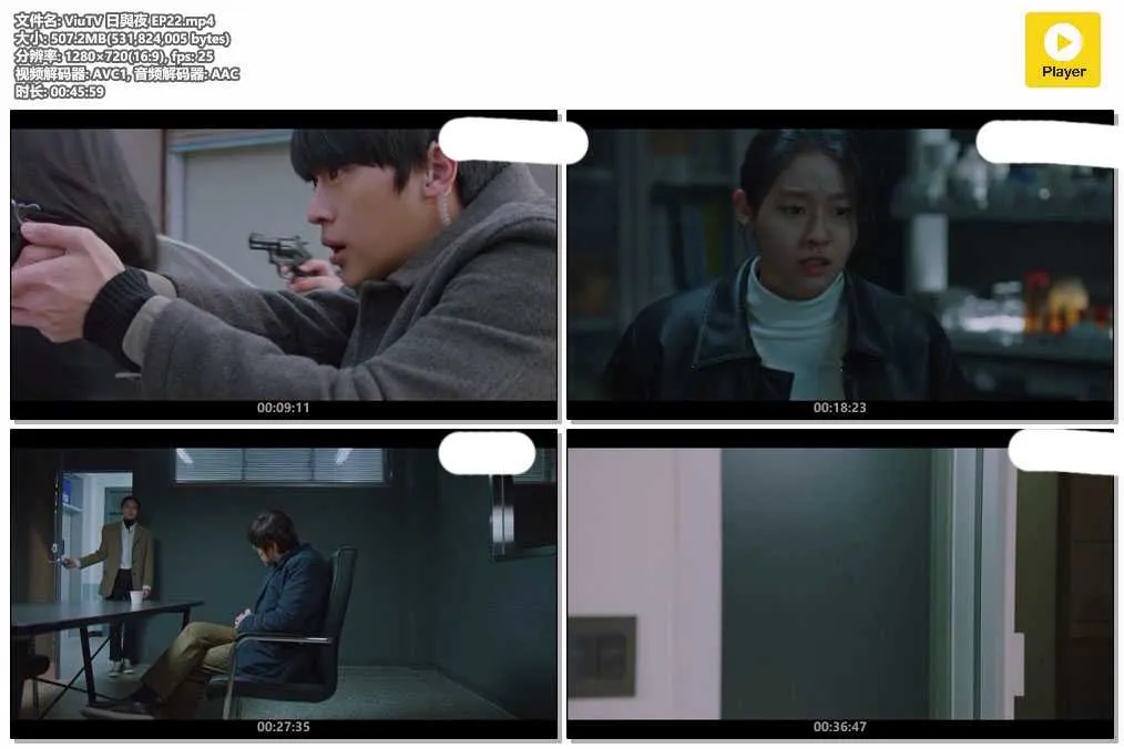 ViuTV 日與夜 EP22.mp4.webp