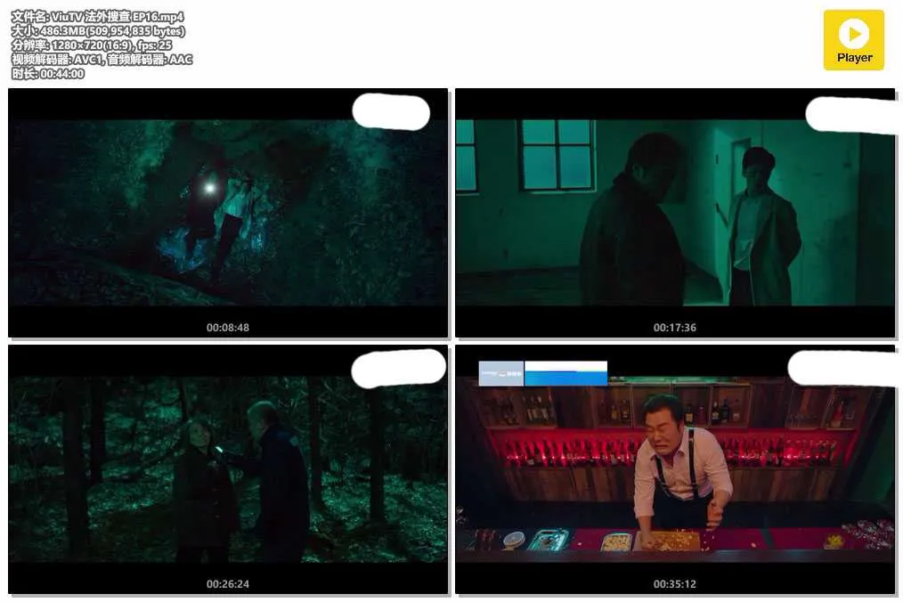 ViuTV 法外搜查 EP16.mp4.webp