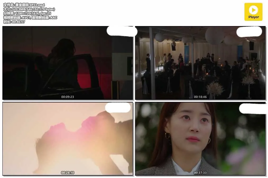 黃金庭院 EP33.mp4.webp