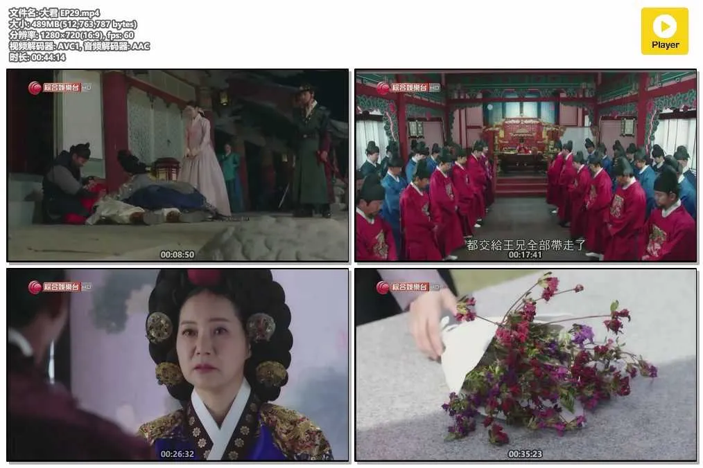 大君 EP29.mp4.webp
