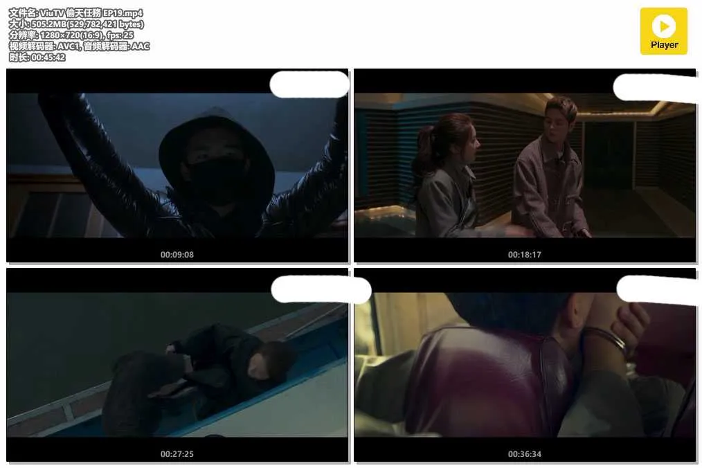 ViuTV 偷天任務 EP19.mp4.webp