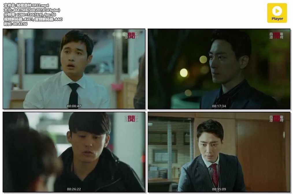 秘密森林 EP22.mp4.webp