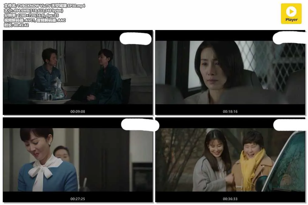 TVBOXNOW ViuTV 天空城堡 EP30.mp4.webp
