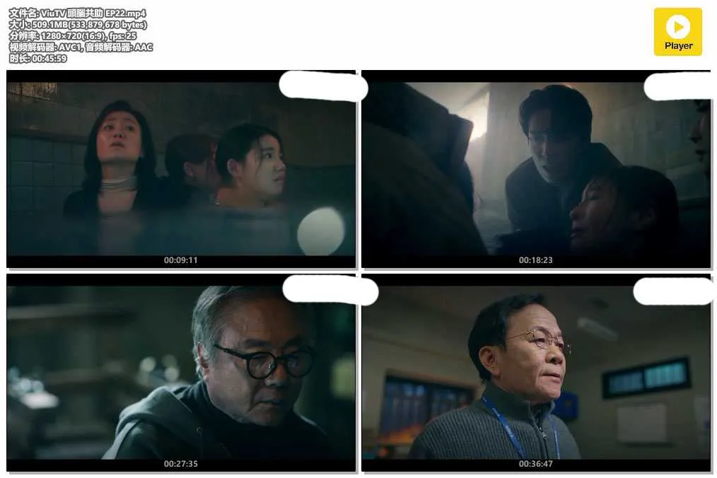 ViuTV 頭腦共助 EP22.mp4.webp