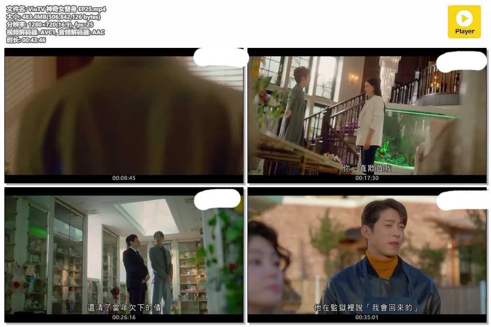 ViuTV 神奇女替身 EP25.mp4.webp