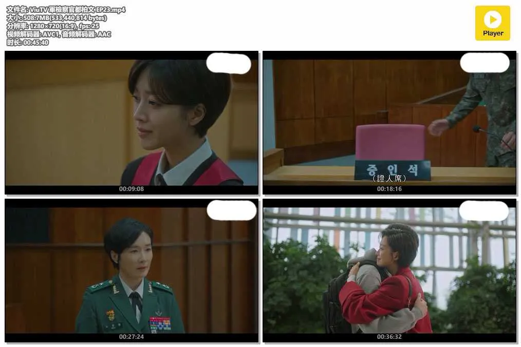 ViuTV 軍檢察官都柏文 EP23.mp4.webp