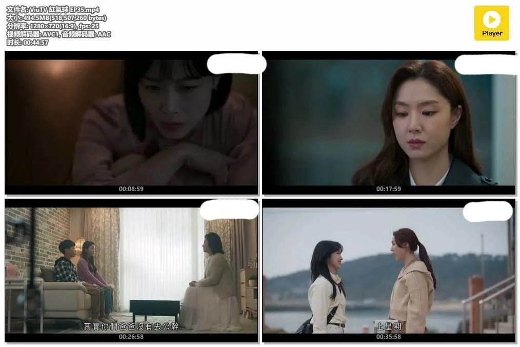 ViuTV 紅氣球 EP35.mp4.webp