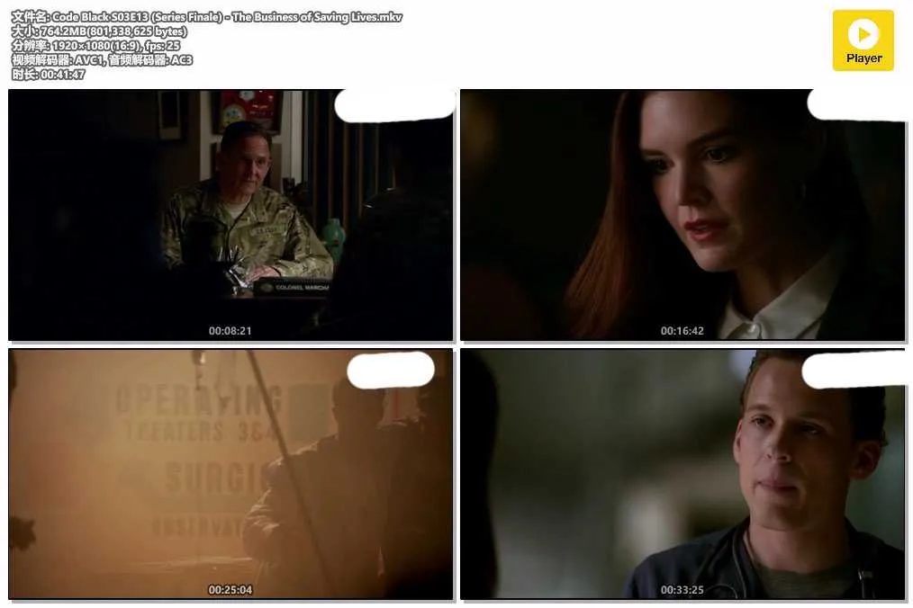 Code Black S03E13 (Series Finale) - The Business of Saving Lives.mkv.webp