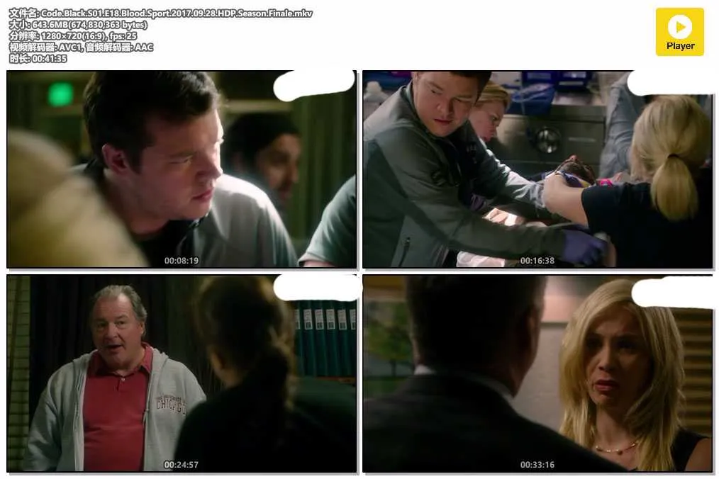 Code.Black.S01.E18.Blood.Sport.2017.09.28.HDP.Season.Finale.mkv.webp