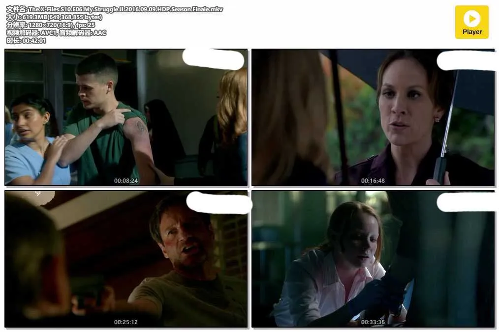 The.X-Files.S10.E06.My.Struggle.II.2016.09.09.HDP.Season.Finale.mkv.webp