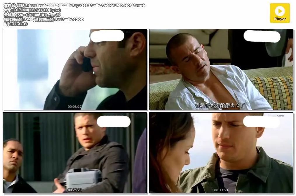 越狱.Prison.Break.2008.S4E22.BluRay.x264.3Audio.AAC.HALFCD-NORM.rmvb.webp