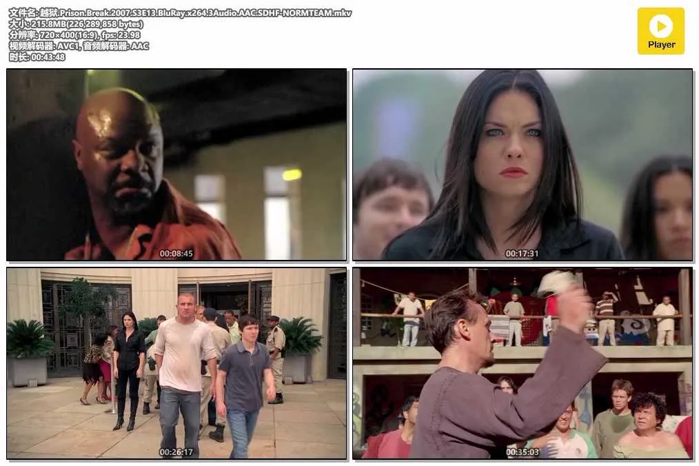 越狱.Prison.Break.2007.S3E13.BluRay.x264.3Audio.AAC.SDHF-NORMTEAM.mkv.webp