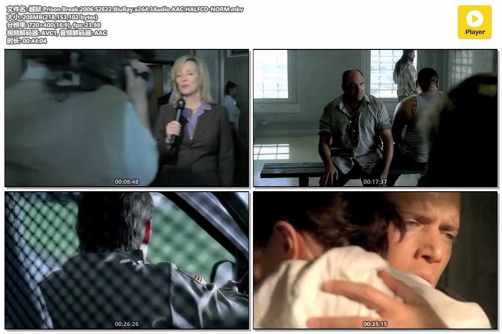 越狱.Prison.Break.2006.S2E22.BluRay.x264.3Audio.AAC.HALFCD-NORM.mkv.webp