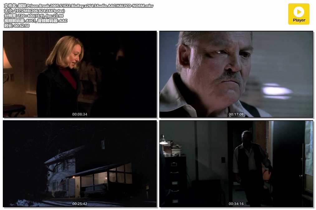 越狱.Prison.Break.2005.S1E22.BluRay.x264.3Audio.AAC.HALFCD-NORM.mkv.jpg