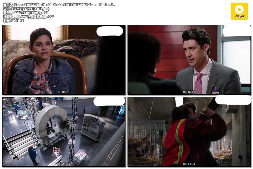 Bone.s.S10.E22.The.Next.in.the.Last.2018.06.22.HDP.Season.Finale.mkv.webp