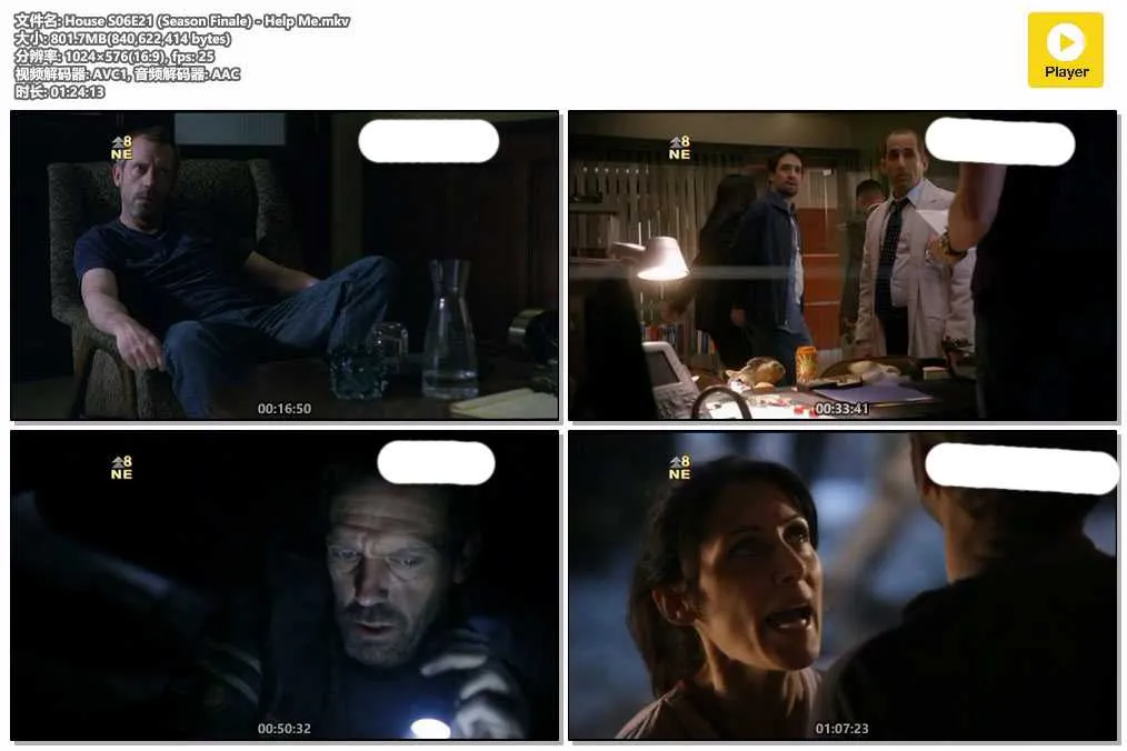 House S06E21 (Season Finale) - Help Me.mkv.webp