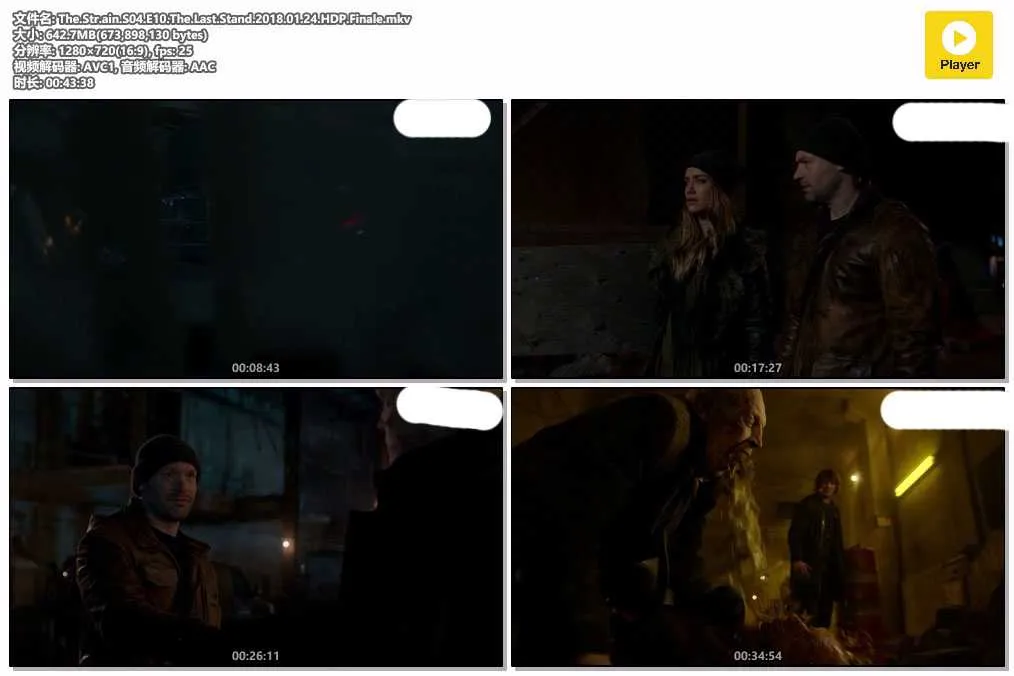 The.Str.ain.S04.E10.The.Last.Stand.2018.01.24.HDP.Finale.mkv.webp