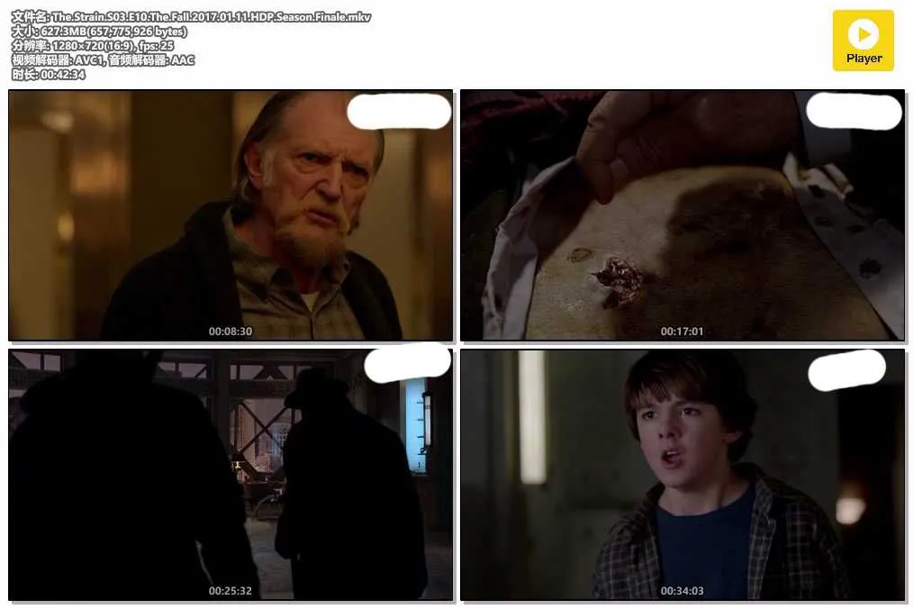 The.Strain.S03.E10.The.Fall.2017.01.11.HDP.Season.Finale.mkv.webp