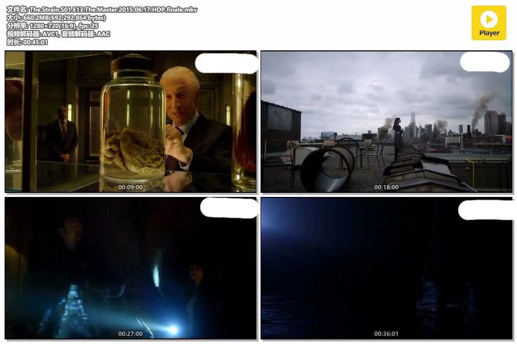 The.Strain.S01.E13.The.Master.2015.06.17.HDP.finale.mkv.webp