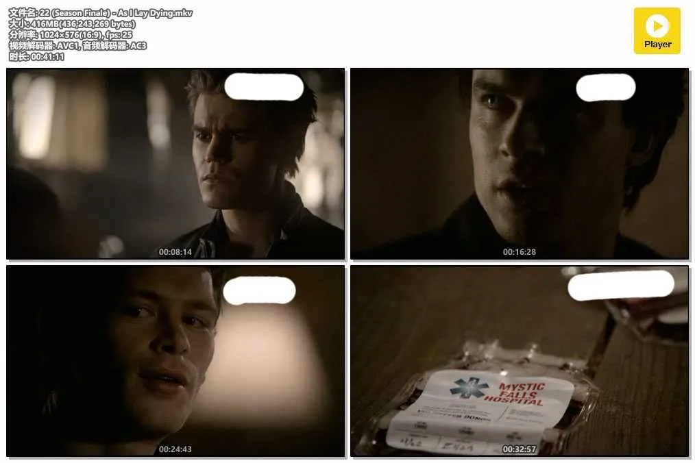 22 (Season Finale) - As I Lay Dying.mkv.webp