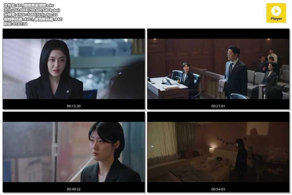 E01_離婚專業律師.mkv.webp