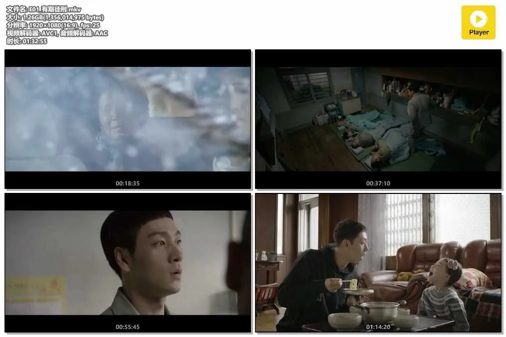 E01_有期徒刑.mkv.webp